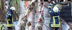 In der Hütte im Hambacher Forst soll sich noch mindestens eine Person seit über 24 Stunden verschanzt haben.