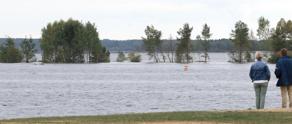 Teile einer Insel sind in den Senftenberger See abgerutscht. Jetzt ragen nur noch die Bäume aus dem Wasser hervor. Teile des Sees sind gesperrt worden.