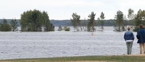 Teile einer Insel sind in den Senftenberger See abgerutscht. Jetzt ragen nur noch die Bäume aus dem Wasser hervor. Teile des Sees sind gesperrt worden.