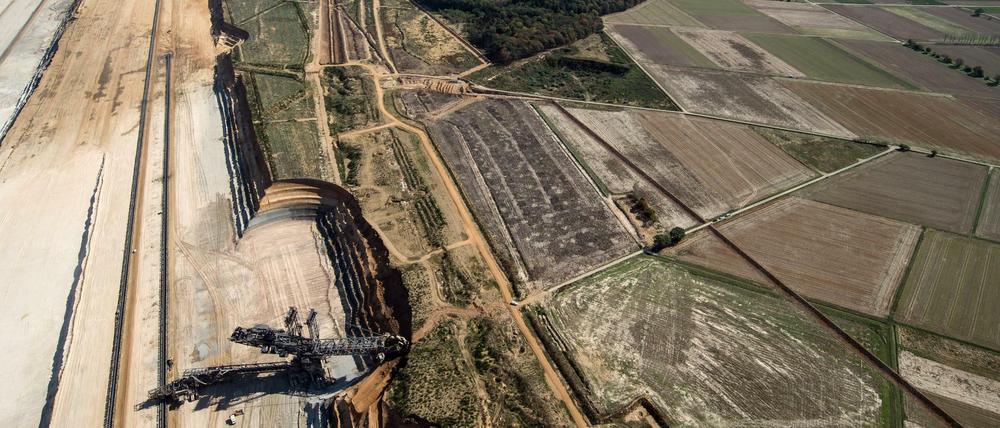 Der Tagebau Hambach gilt als Auslaufmodell - und ist zum Symbol des Widerstands gegen den Braunkohleabbau geworden.