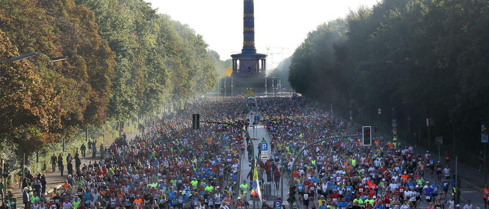 Berlin läuft! 45.000 Teilnehmer rennen am Sonntag wieder einmal quer durch die Stadt.