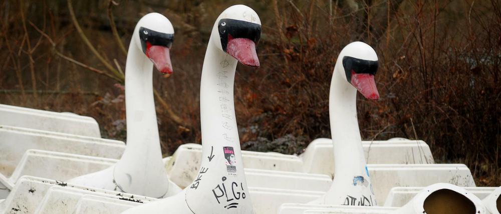 Flügellahm im Spreepark. Mit diesem Vogel ist schon lange niemand mehr gegondelt.