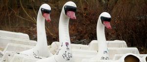 Flügellahm im Spreepark. Mit diesem Vogel ist schon lange niemand mehr gegondelt.