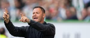 Der Berliner Trainer Pal Dardai.