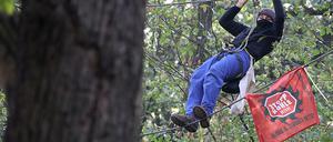 Ein Umweltaktivist klettert zwischen zwei Bäumen. Die Räumung der Baumhäuser von Umweltaktivisten im Hambacher Forst geht weiter.