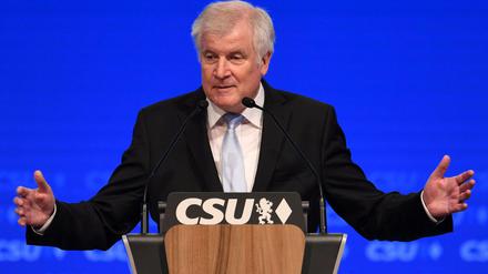 Innenminister Horst Seehofer (CSU). 