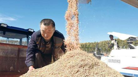 Auch auf Reis aus China erheben die USA einen Strafzoll.