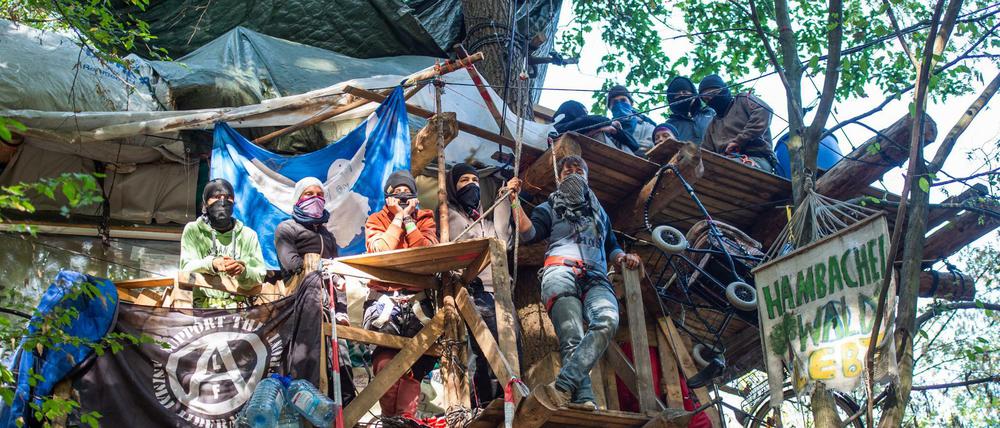 Aktivisten stehen im Hambacher Forst auf einem Baumhaus.