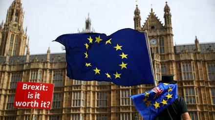 Ein Brexit-Gegner vor dem Parlament in London