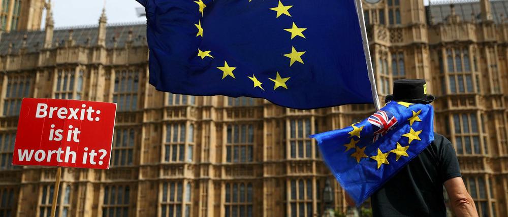Ein Brexit-Gegner vor dem Parlament in London
