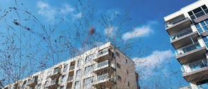 Bezahlbarer Wohnraum in Berlin ist Mangelware. Das will ein Bündnis nun ändern. 