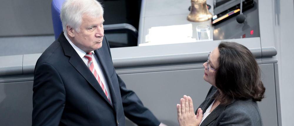 Horst Seehofer (CSU) und Andrea Nahles (SPD, Archivfoto) sind auch in der Causa Maaßen weiterhin im Gespräch.
