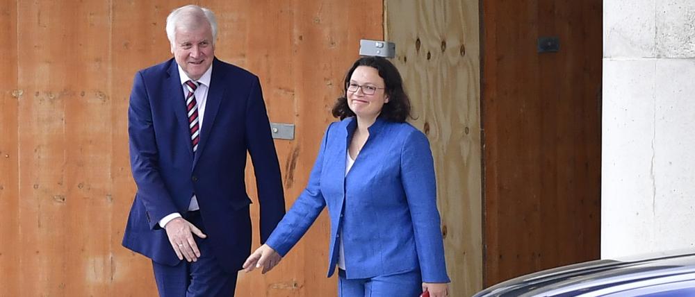 Innenminister Horst Seehofer (CSU) und SPD-Chefin Andrea Nahles.