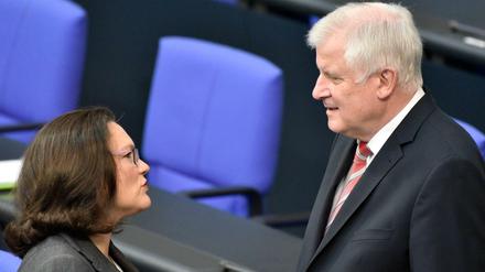 Horst Seehofer und Andrea Nahles im Bundestag.