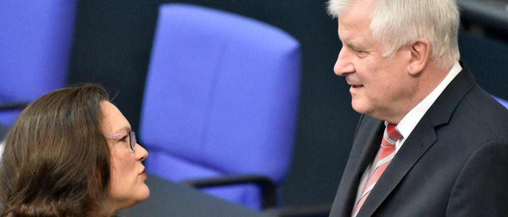 Horst Seehofer und Andrea Nahles im Bundestag.