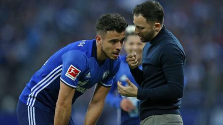 Uneins. Di Santo und Trainer Tedesco lieferten sich einen heftigen Disput.