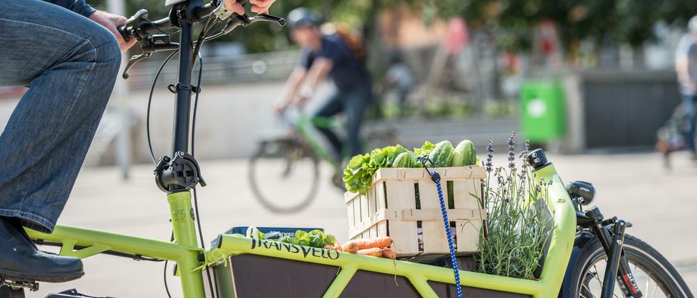 Einkaufen mit dem E-Lastenrad