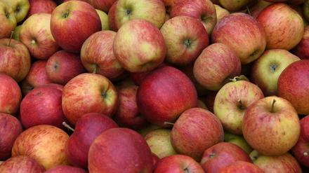 Die wichtigsten Anbaugebiete für Äpfel liegen um den Bodensee.