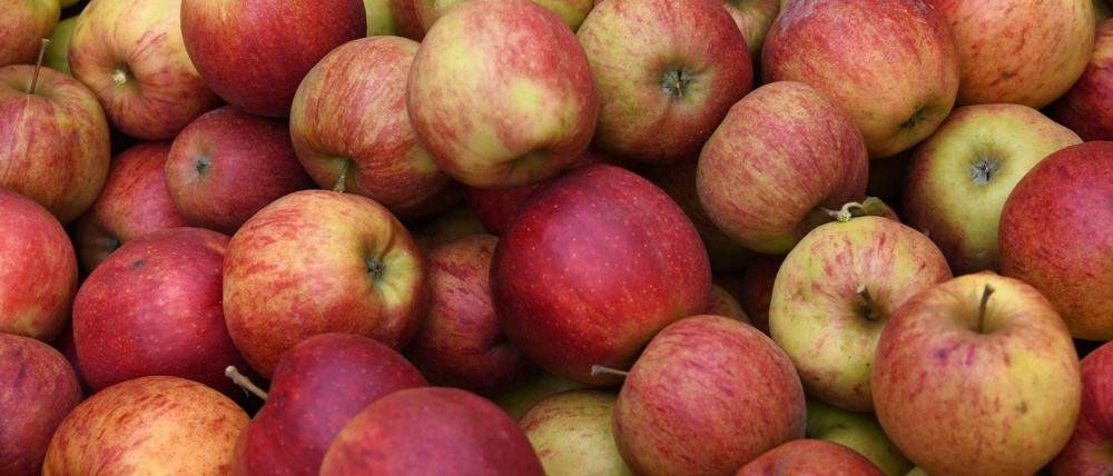 Die wichtigsten Anbaugebiete für Äpfel liegen um den Bodensee.