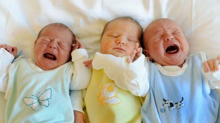 Babys liegen in der Universitätsfrauenklinik in Leipzig (Archivfoto)