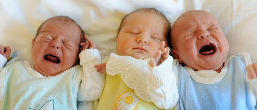 Babys liegen in der Universitätsfrauenklinik in Leipzig (Archivfoto)