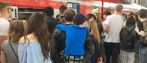 Das ist heute schon zu viel für die überlasteten Verkehrswege und wird morgen und übermorgen erst recht zu viel sein.