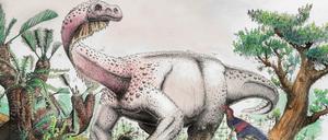 Die künstlerische Darstellung zeigt einen Dinosaurier der Art «Ledumahadi mafube» (etwa «Donnergroll im Morgengrauen»).