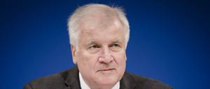 Die AfD wirft Seehofer vor, gegen das Gebot der Mäßigung verstoßen zu haben.