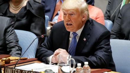 US-Präsident Donald Trump hatte am Mittwoch den Vorsitz im UN-Sicherheitsrat. 