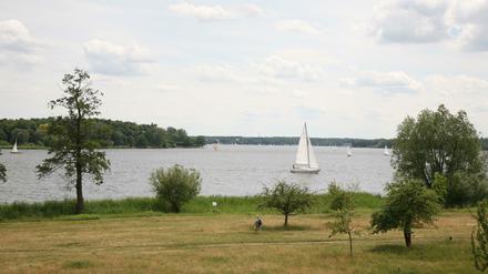 Gutspark Neukladow, vermutlich 2012, mit Blick auf die Havel und dahinter den Wannsee.