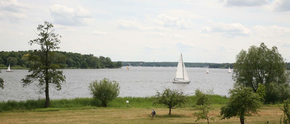 Gutspark Neukladow, vermutlich 2012, mit Blick auf die Havel und dahinter den Wannsee.