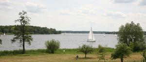 Gutspark Neukladow, vermutlich 2012, mit Blick auf die Havel und dahinter den Wannsee.