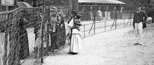 Allen möglichen Unsinn aufführen. Knapp 35 000 Personen wurden zwischen 1810 und 1940 als so genannte „Wilde“ in Menschen-Zoos ausgestellt. 