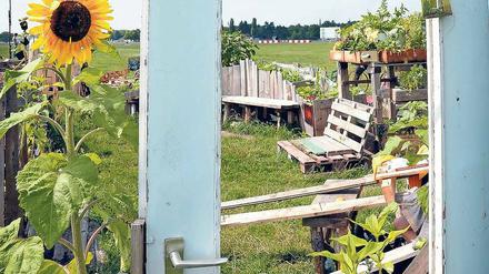 Soziotop. Auf dem Tempelhofer Feld wächst Grünzeug und Gemeinschaft. Ob zur Tür irgendwann auch Wände kommen sollen, ist weiter umstritten.