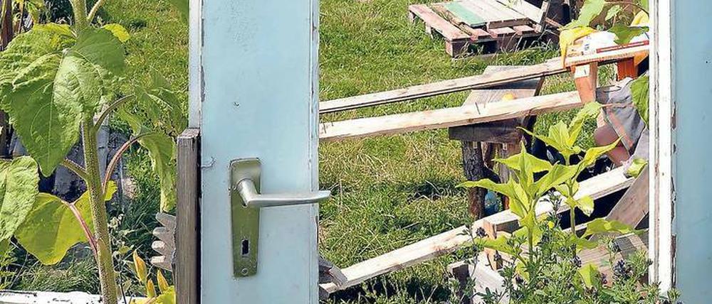 Soziotop. Auf dem Tempelhofer Feld wächst Grünzeug und Gemeinschaft. Ob zur Tür irgendwann auch Wände kommen sollen, ist weiter umstritten.