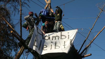 Aktvistinnen auf einem Tripod im Hambacher Forst.