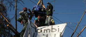 Aktvistinnen auf einem Tripod im Hambacher Forst.