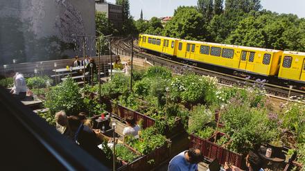 Berlins irrste Dachgärten. Berühmt (aus der U.Bahn): der Garten an der Oberbaumbrücke.