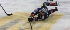 Die Eisbären, hier James Sheppard bleiben in Straubing ohne Zähler. 