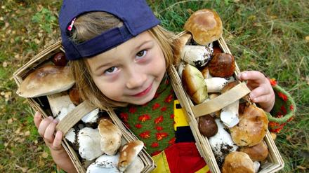 Mahlzeit, ein Bild aus besseren Tagen. 