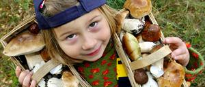 Mahlzeit, ein Bild aus besseren Tagen. 