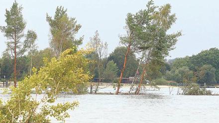 Über Nacht ist die Insel im Senftenberger See, der in einem ehemaligen Tagebaugebiet entstand, versunken. 