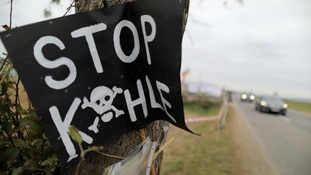 Ein Plakat mit Aufschrift "Stop Kohle" hängt am Rande des Hambacher Forstes.