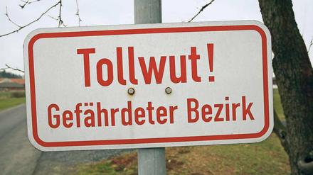 Wider das Virus. Deutschland gilt seit 2008, dem Jahr, aus dem dieses Bild aus Hessen stammt, als tollwutfrei. Eine Initiative mehrerer Organisationen will nun erreichen, dass bis 2030 weltweit kein Mensch mehr fürchten muss, an der Krankheit zu sterben.