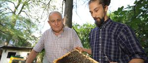 Nur die Ruhe. Der zukünftige Imker Vasilji Vitrak lernt bei „Bienen-Guru“ Benedikt Polaczek, wie Völkerverständigung funktioniert.
