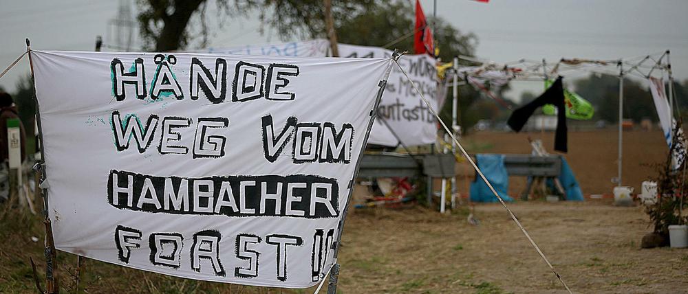 Das Oberverwaltungsgericht Münster hat einen vorläufigen Rodungsstopp im Hambacher Forst verfügt.