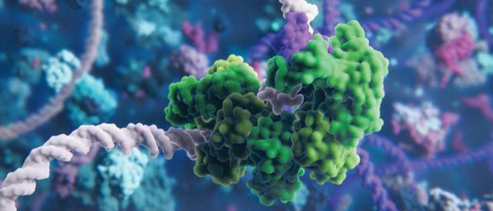Die Gen-Schere "CRISPR/Cas9" (grün) kann das Erbgutmolekül DNA (weiß) gezielt verändern.