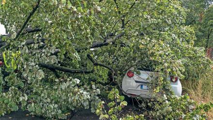 Naturgewalt. Am 5. Oktober 2017 fegte das Sturmtief Xavier über Berlin und Brandenburg hinweg. Der Orkan riss zehntausende Bäume in der Stadt um, von denen einige wie hier in Neukölln auf Autos stürzten.