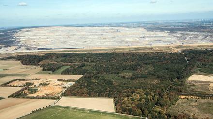 Nach dem vorläufigen Rodungsstopp im Hambacher Forst wollen die Betreiber der Suchmaschine Ecosia RWE den Wald abkaufen.