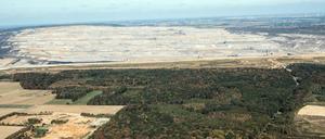 Nach dem vorläufigen Rodungsstopp im Hambacher Forst wollen die Betreiber der Suchmaschine Ecosia RWE den Wald abkaufen.